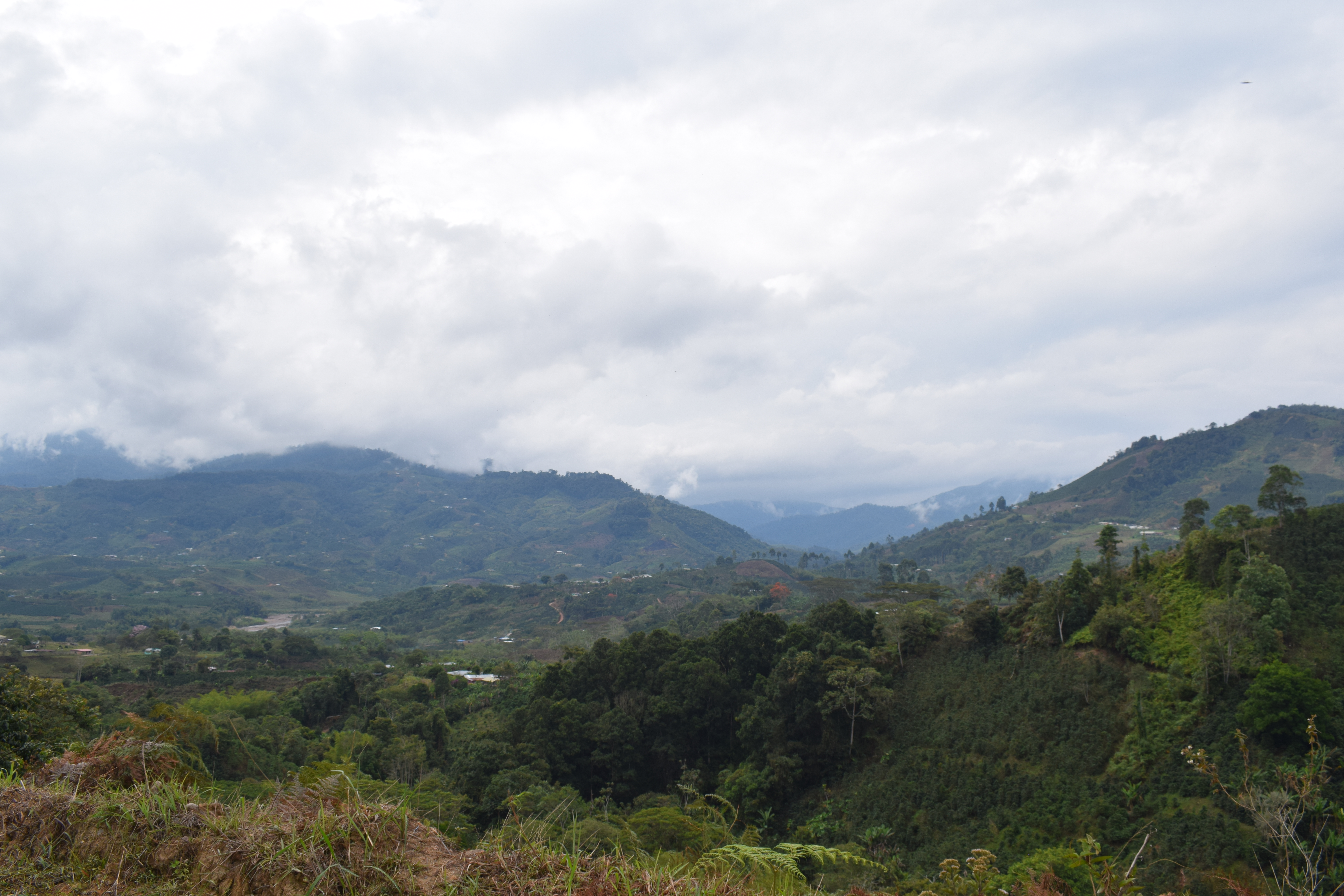 Blog 1